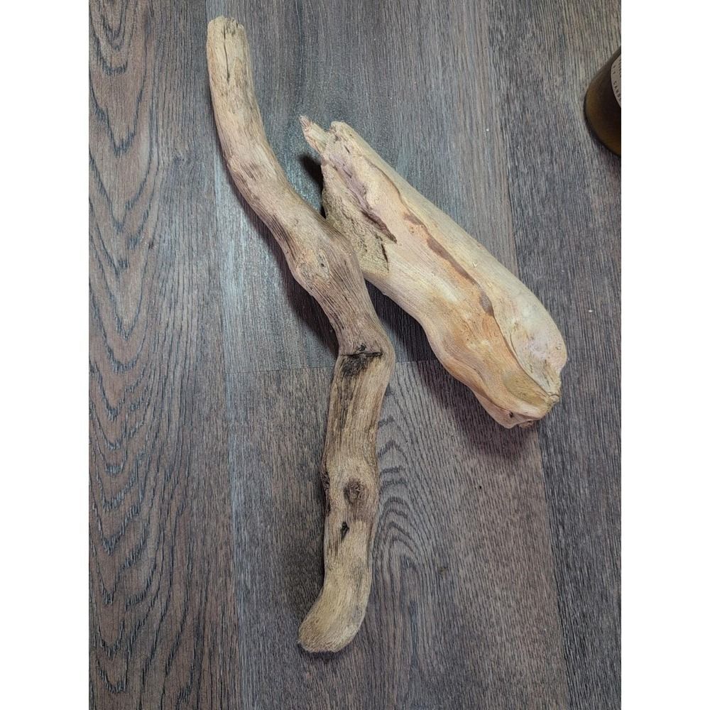 Driftwood So Cal CA Beach Ocean Wood Sculpture Art Crafts Garden Decor Lot Of 2 - Picture 15 of 15